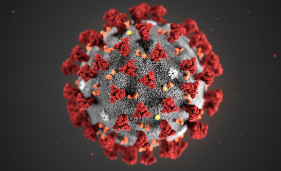 Sharp rise in coronavirus cases prompt call for Gateshead-wide effort
