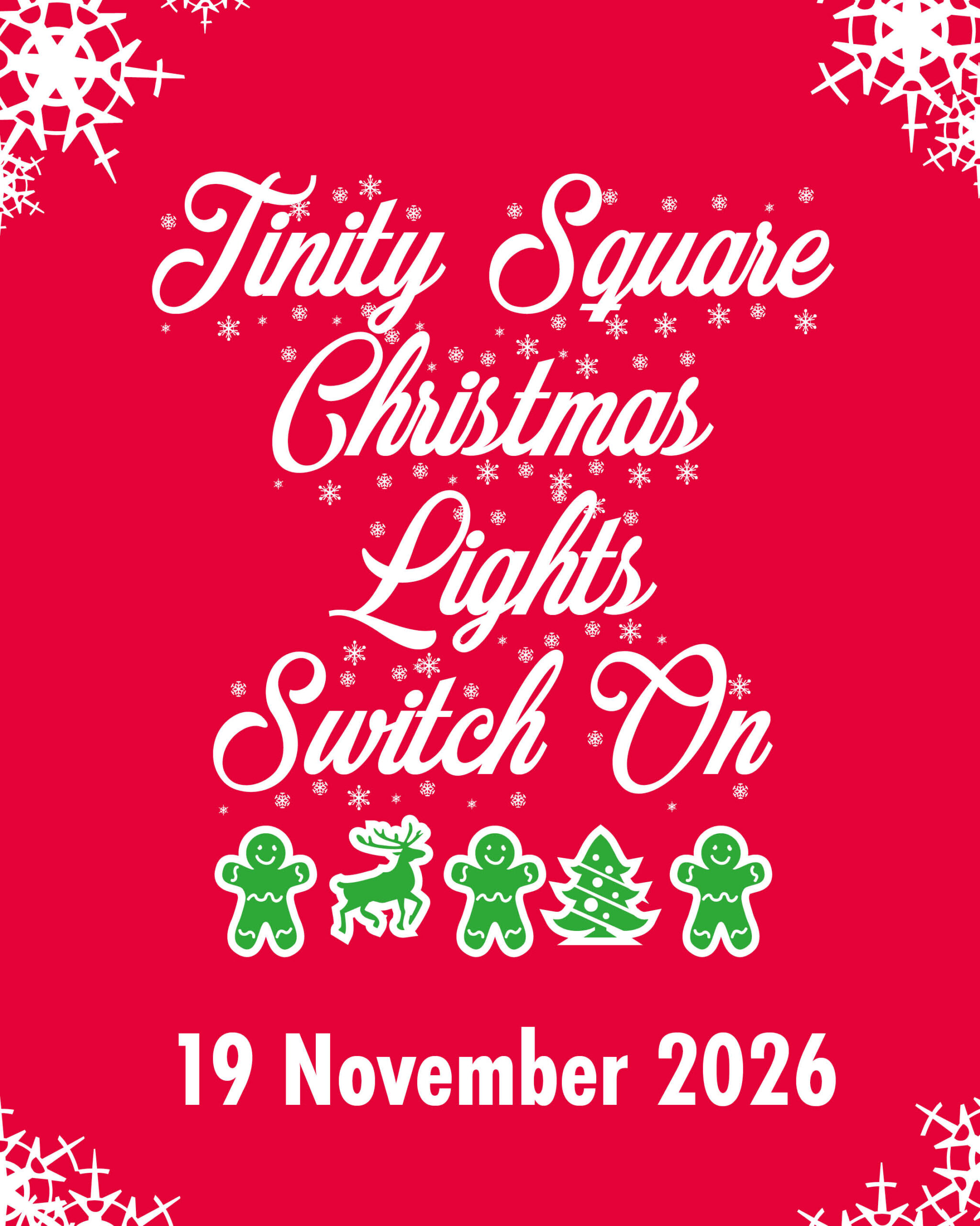 Christmas Lights Switch On